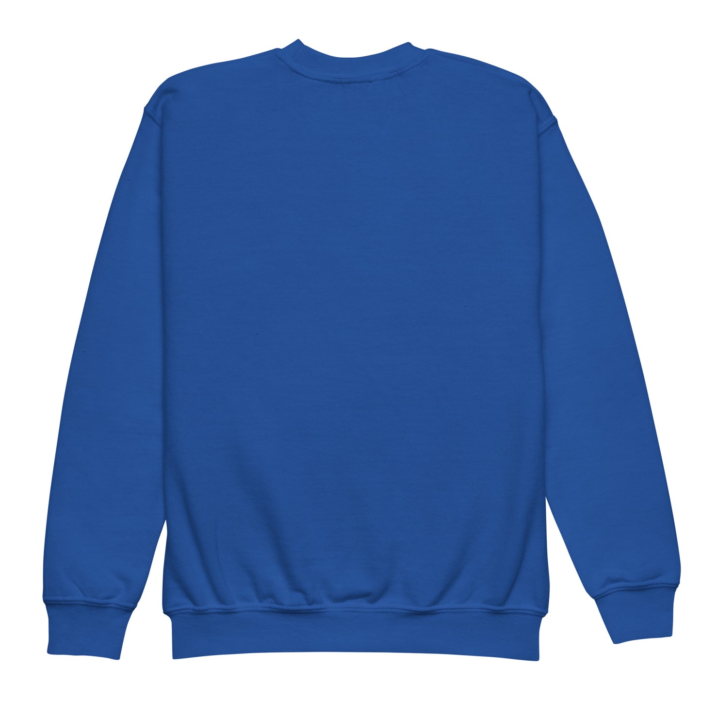 Comp Sudadera unisex con cuello redondo para jóvenes