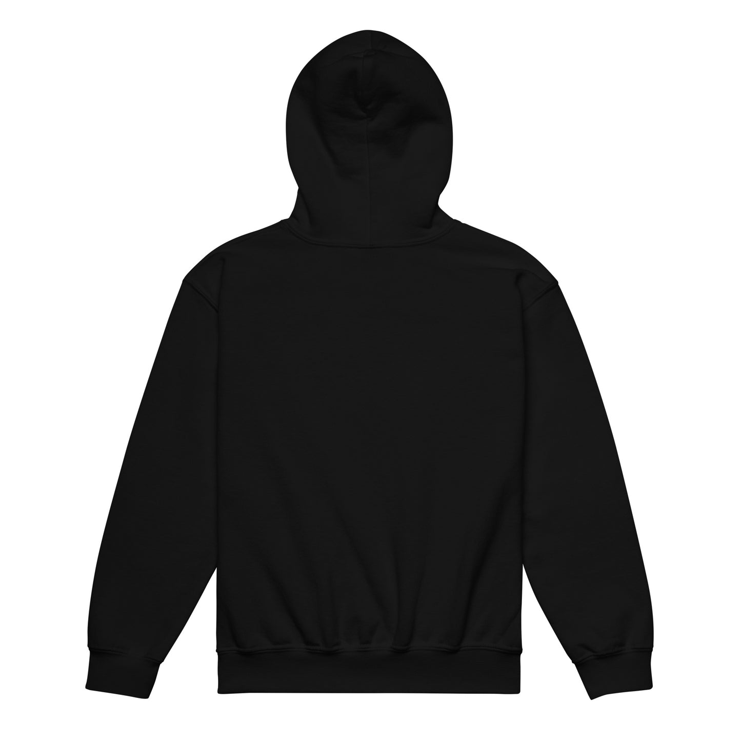 Ai1 Sudadera con capucha unisex para jóvenes de mezcla pesada