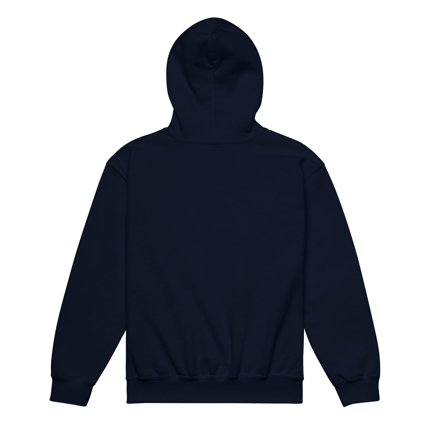 Ai1 Sudadera con capucha unisex para jóvenes de mezcla pesada