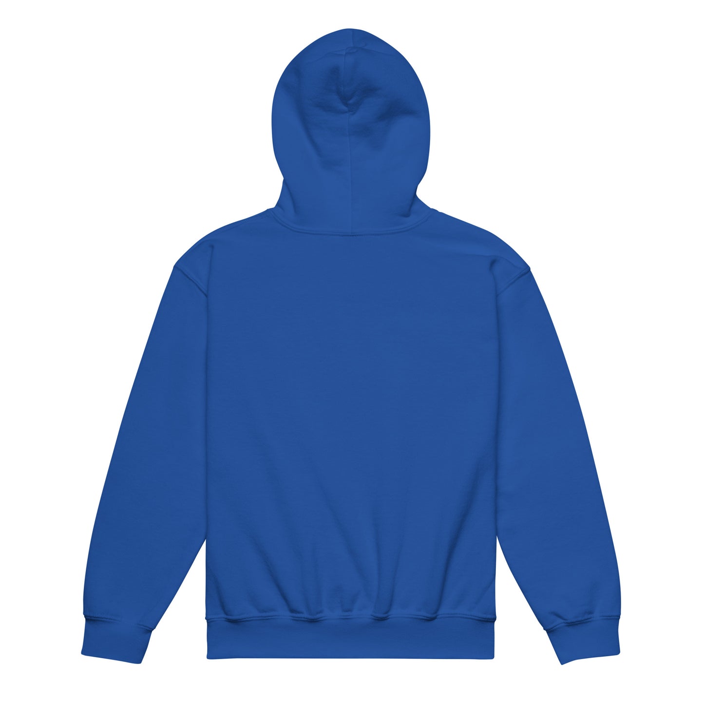 Ai1 Sudadera con capucha unisex para jóvenes de mezcla pesada